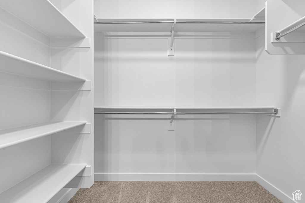 Spacious closet featuring carpet floors