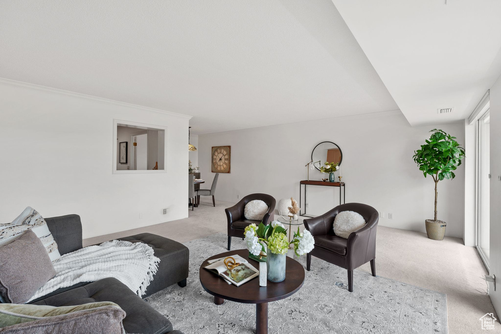 Living area with carpet and ornamental molding