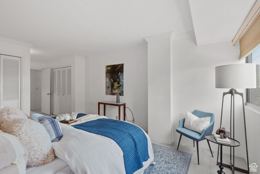 Carpeted bedroom with crown molding and multiple closets