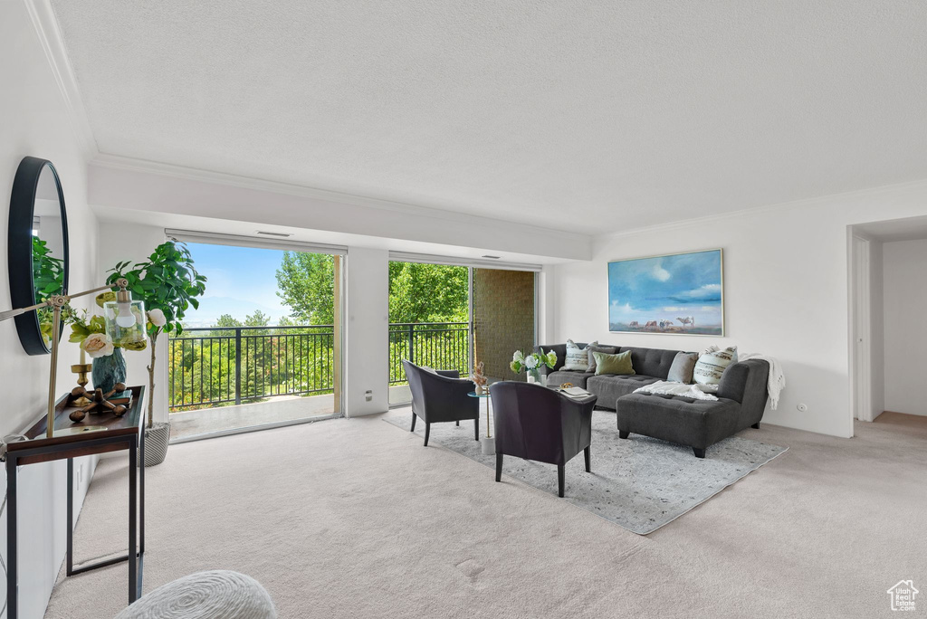 Carpeted living room featuring crown molding