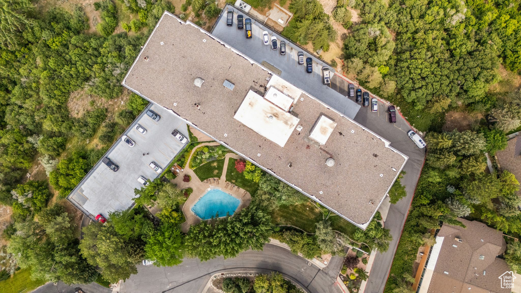 Drone / aerial view of a pool