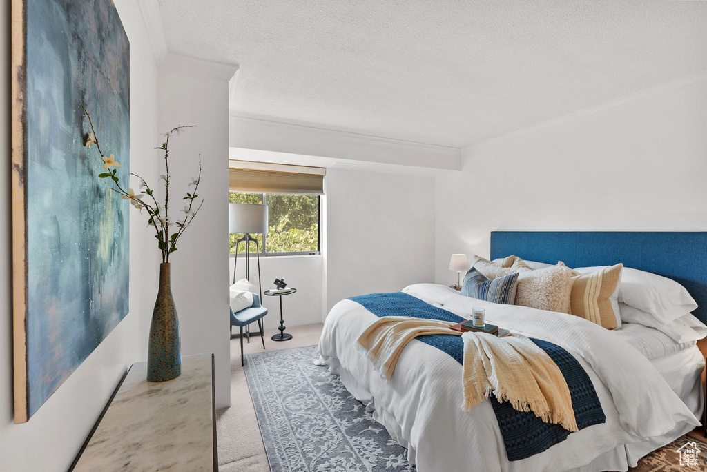 Carpeted bedroom with crown molding and a textured ceiling