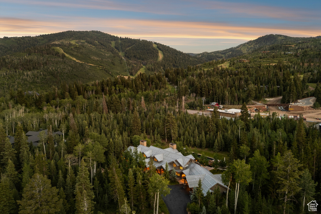 View of mountain background with a heavily wooded area