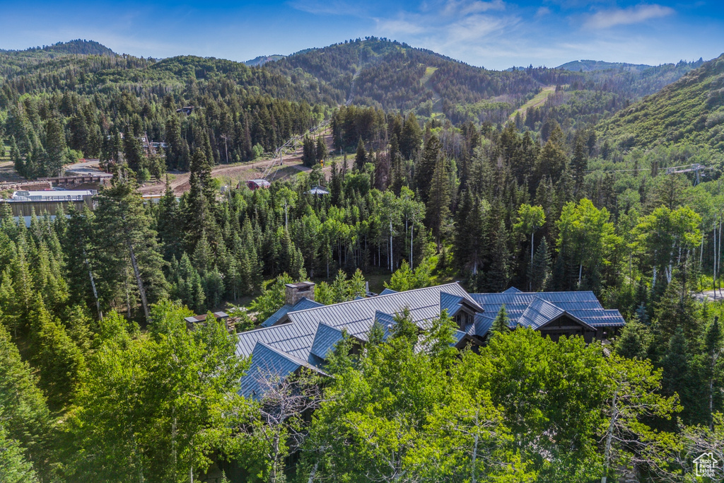 Bird's eye view of a heavily wooded area and mountains