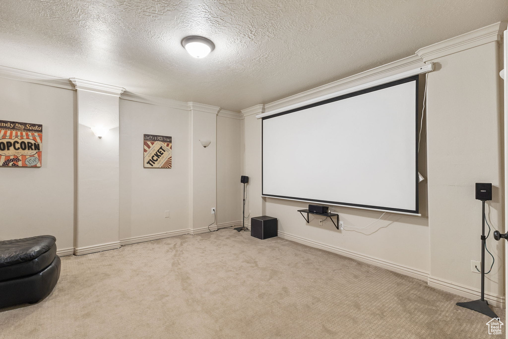 Carpeted home theater room with a textured ceiling and baseboards