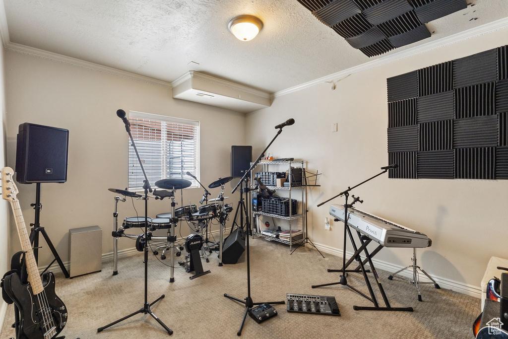 Exercise room featuring ornamental molding, carpet floors, and a textured ceiling