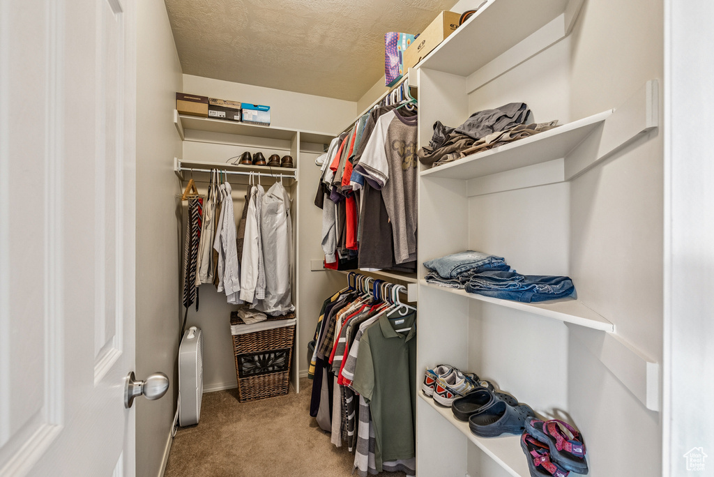 Spacious closet featuring carpet flooring