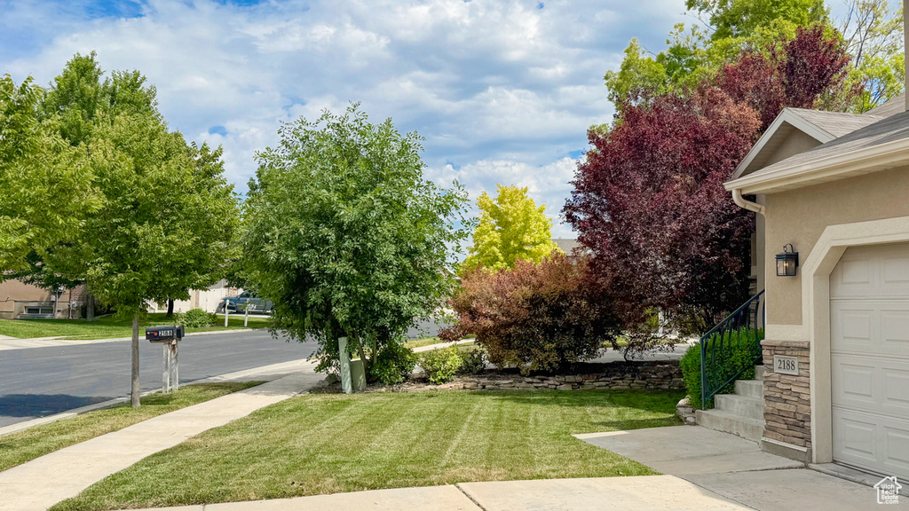 View of grassy yard