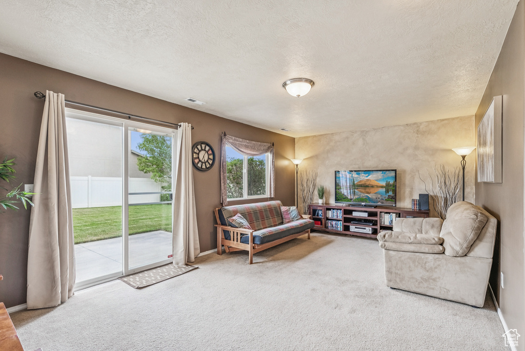 Living area featuring carpet floors and a textured ceiling