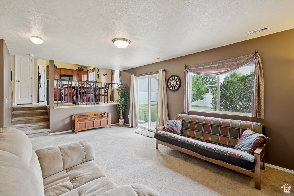 Living room featuring light carpet and a textured ceiling