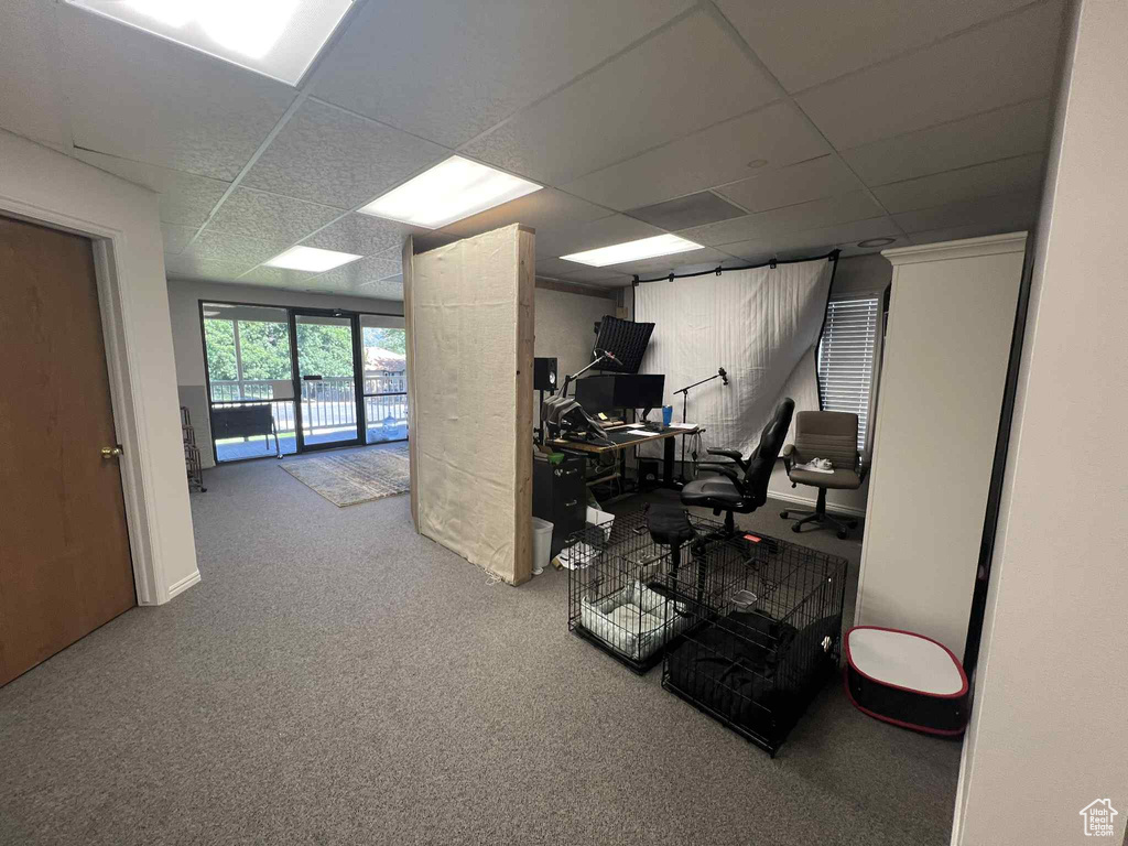 Carpeted office space with a paneled ceiling