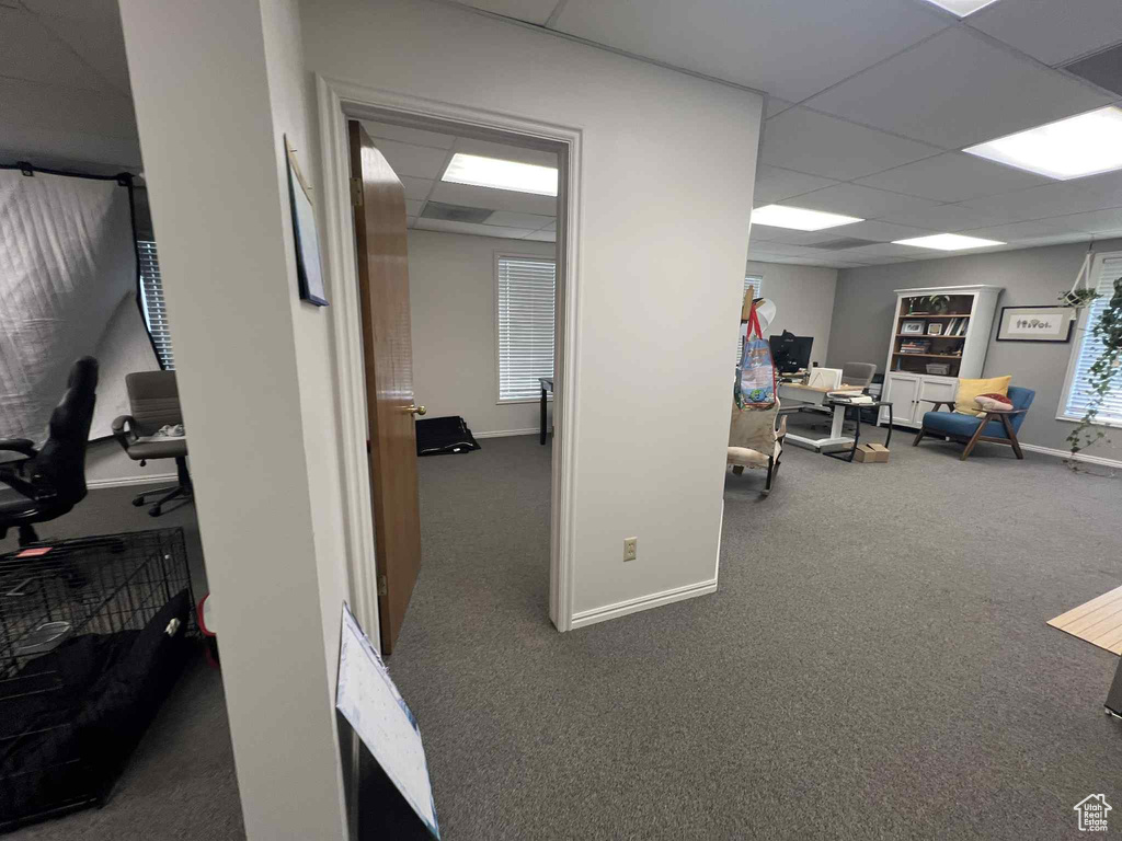 Carpeted office space with a paneled ceiling and baseboards