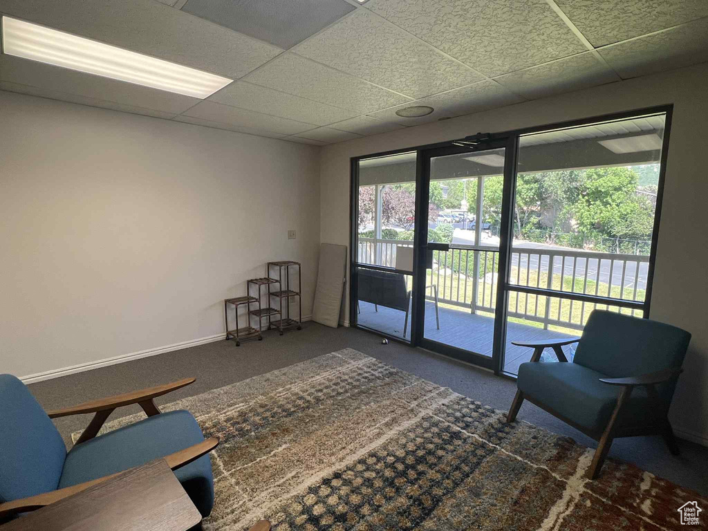 Living area featuring a drop ceiling, plenty of natural light, and carpet