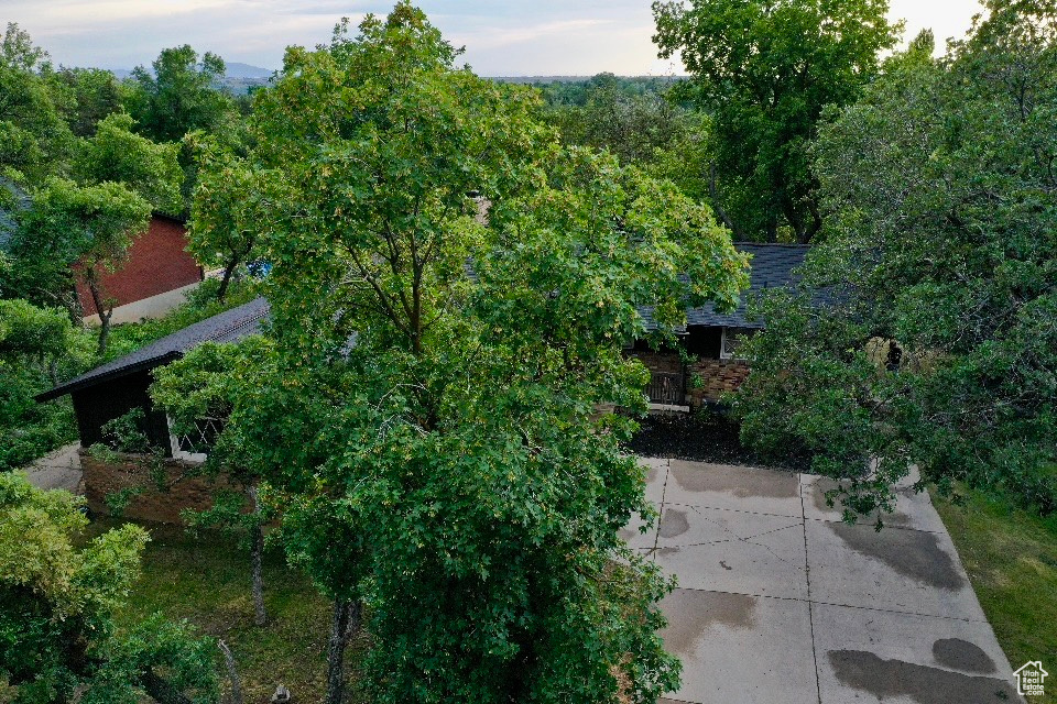 6003 S 2400 E South Ogden, UT 84403