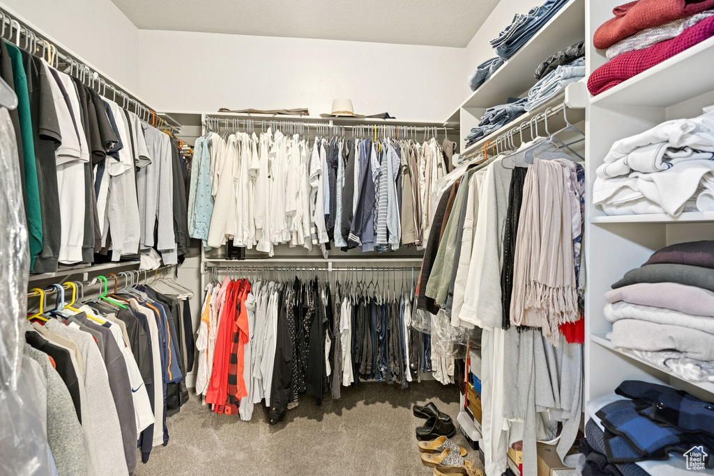 Spacious closet featuring carpet flooring