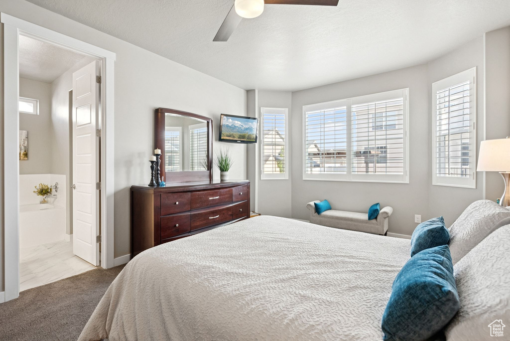 Carpeted bedroom featuring multiple windows, ensuite bath, and a ceiling fan