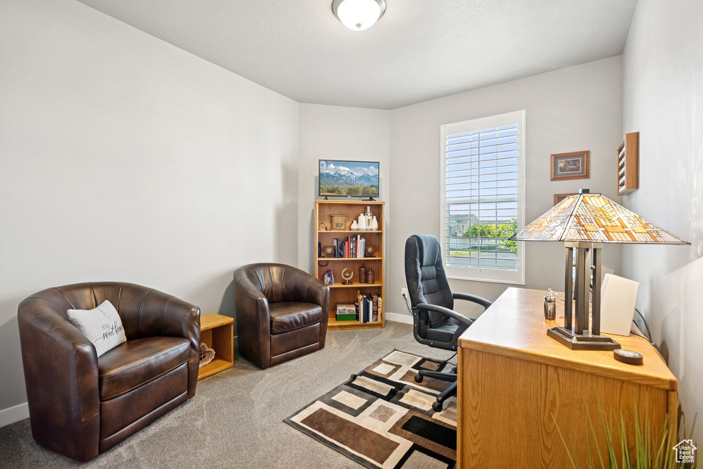 Carpeted home office with baseboards