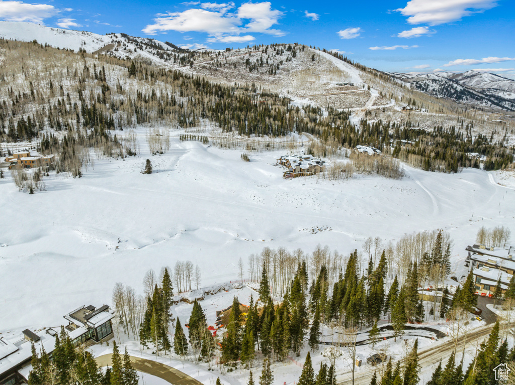 263 WHITE PINE CANYON RD Park City, UT 84098