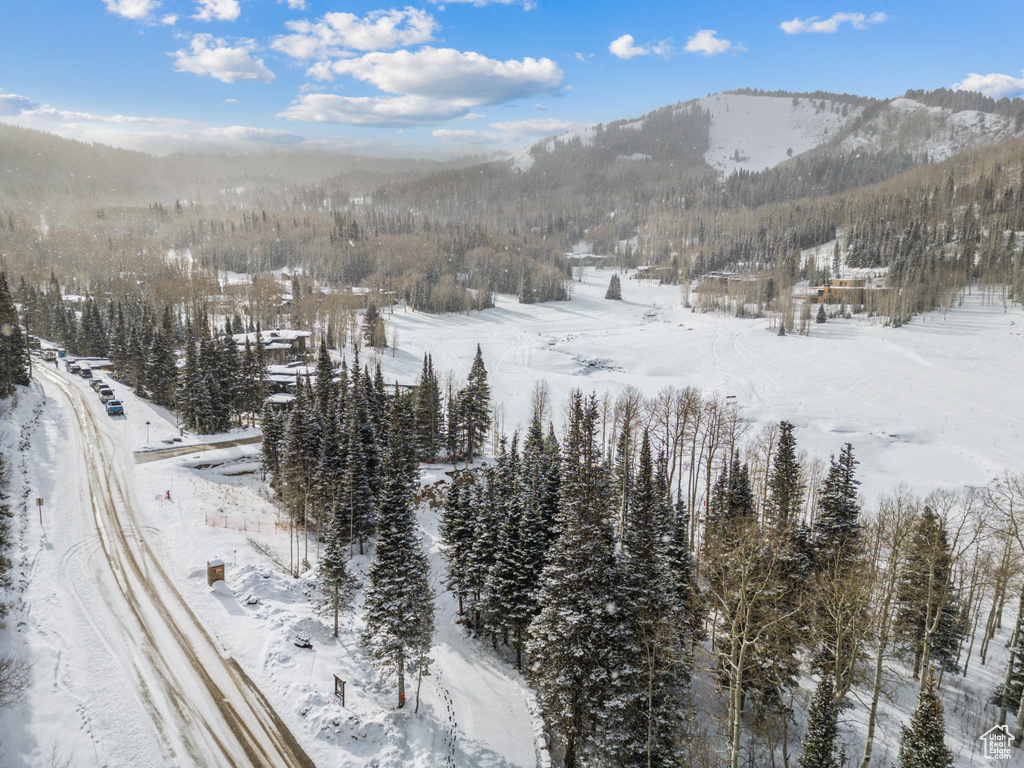 263 WHITE PINE CANYON RD Park City, UT 84098