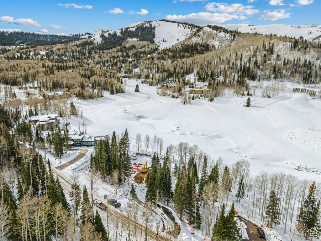 263 WHITE PINE CANYON RD Park City, UT 84098