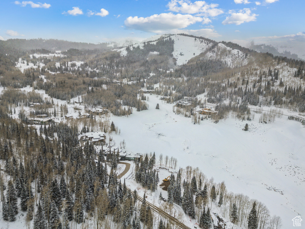 263 WHITE PINE CANYON RD Park City, UT 84098