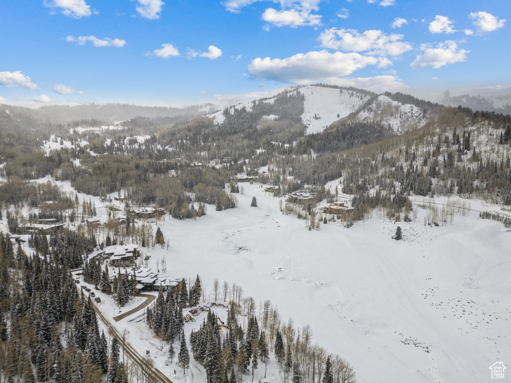 263 WHITE PINE CANYON RD Park City, UT 84098