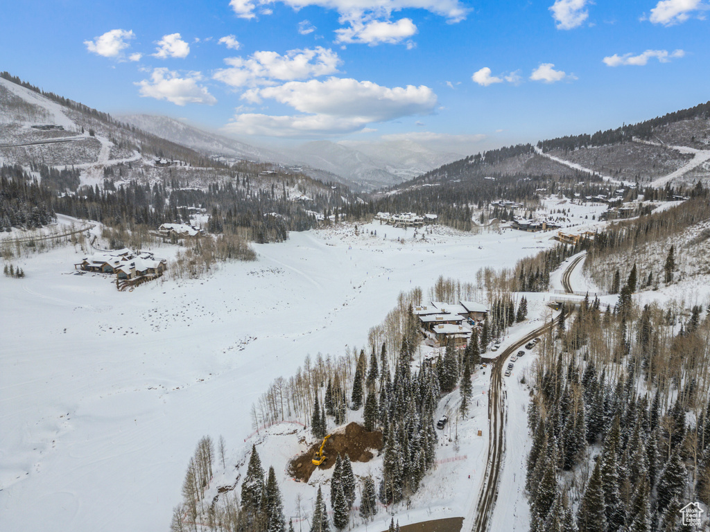 263 WHITE PINE CANYON RD Park City, UT 84098