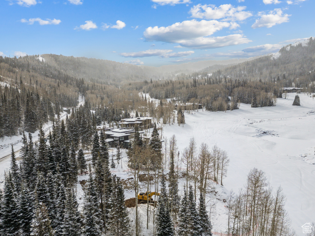 263 WHITE PINE CANYON RD Park City, UT 84098