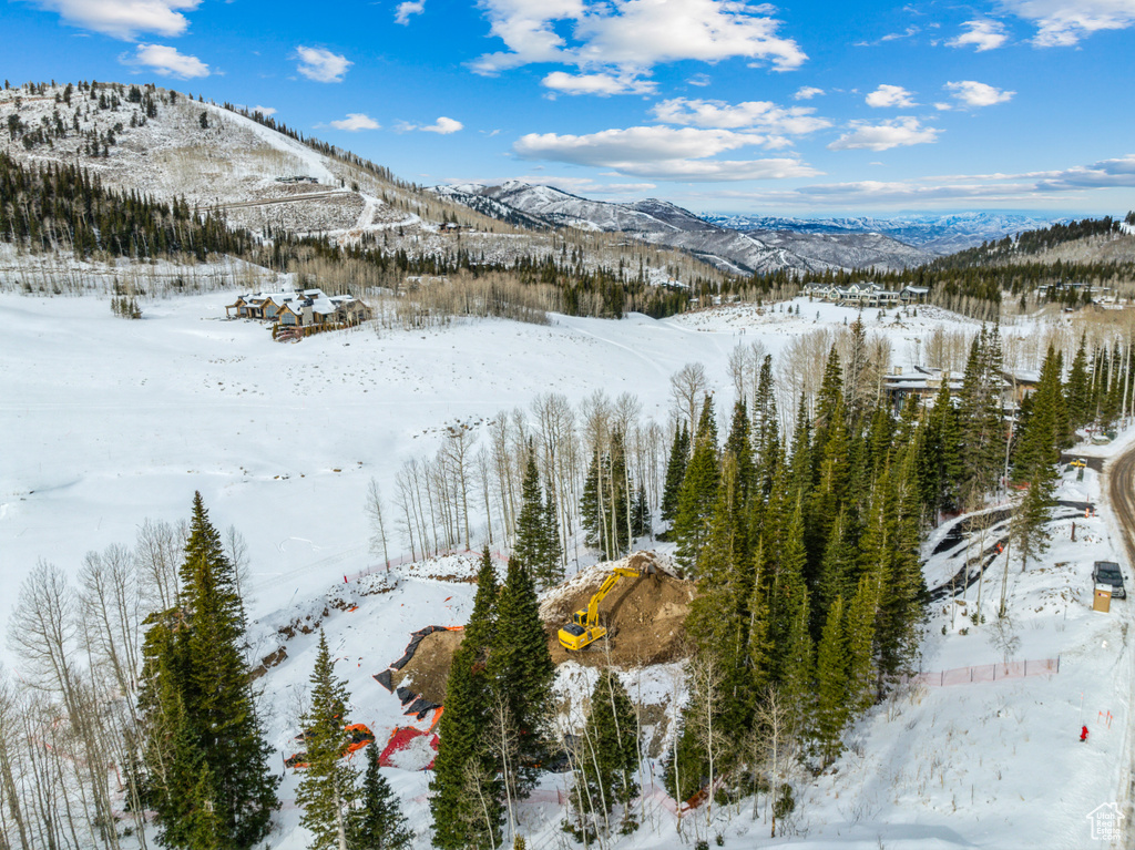 263 WHITE PINE CANYON RD Park City, UT 84098