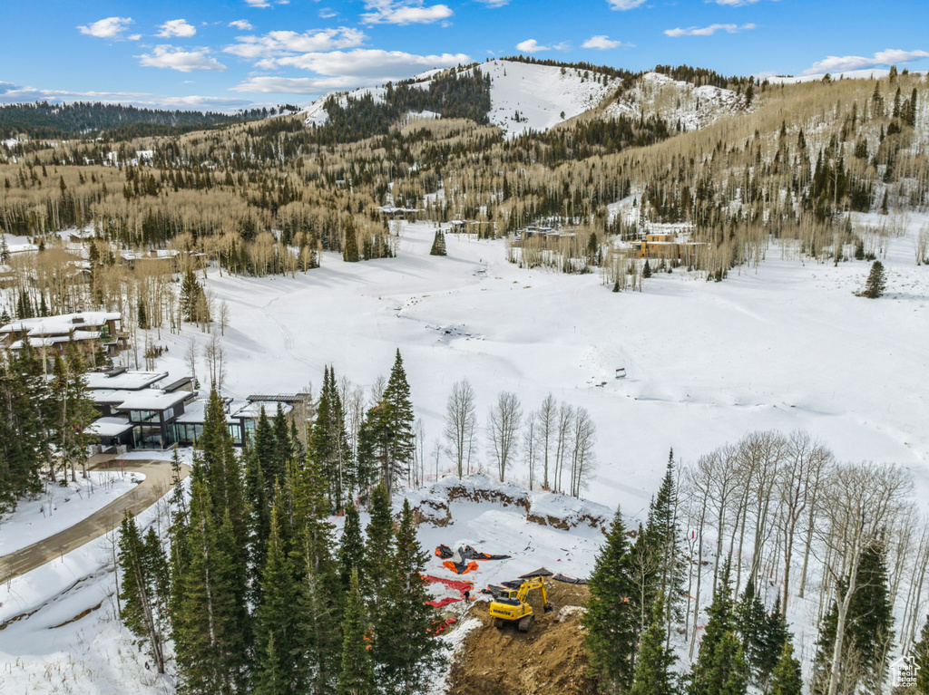 263 WHITE PINE CANYON RD Park City, UT 84098