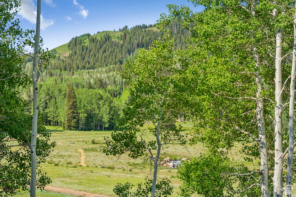 263 WHITE PINE CANYON RD Park City, UT 84098