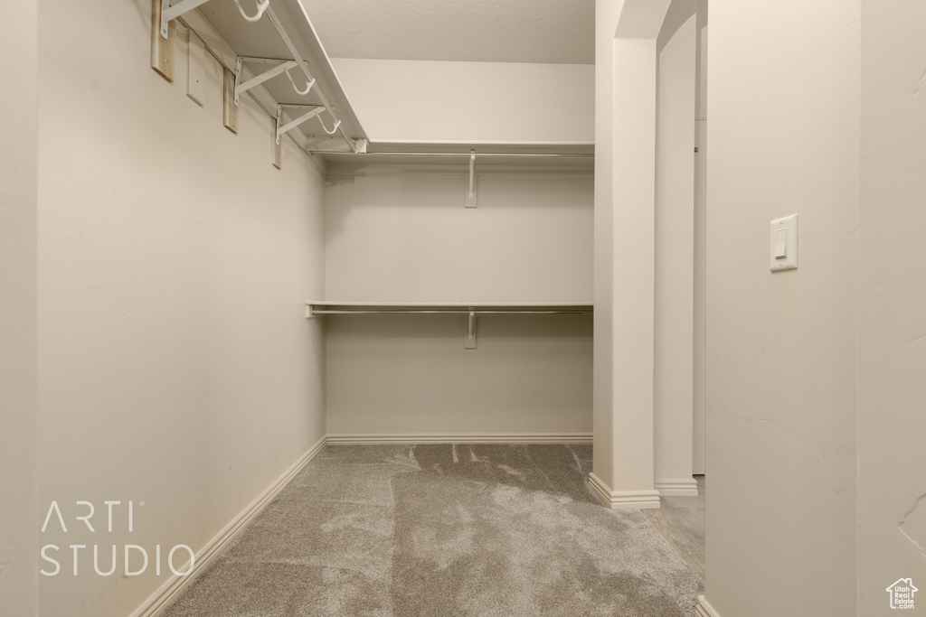 Walk in closet with carpet flooring