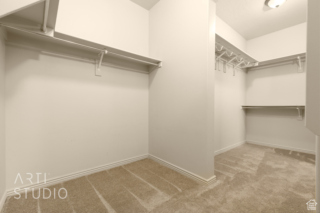 Walk in closet featuring carpet