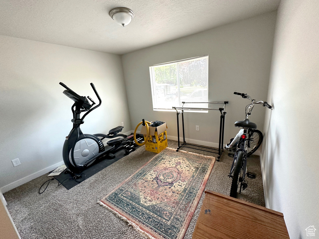 Exercise room featuring carpet floors and baseboards