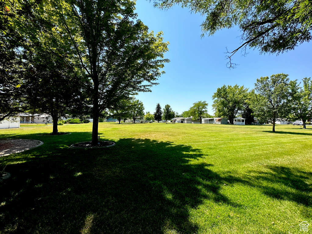 View of green lawn