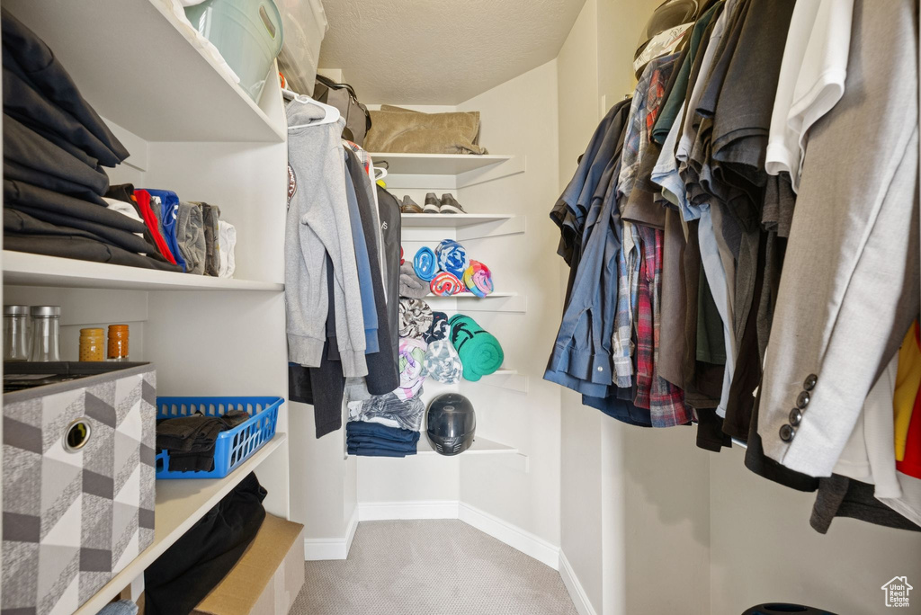 Spacious closet featuring carpet flooring