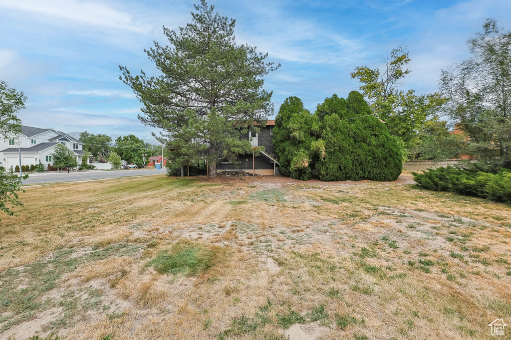 View of grassy yard