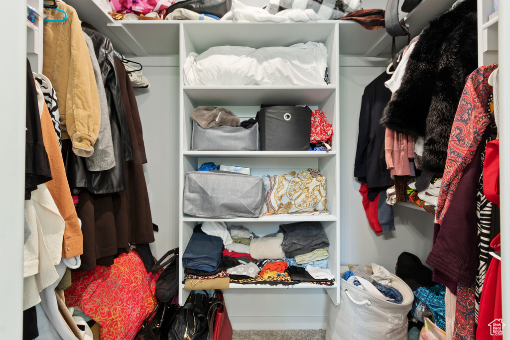 Spacious closet with carpet