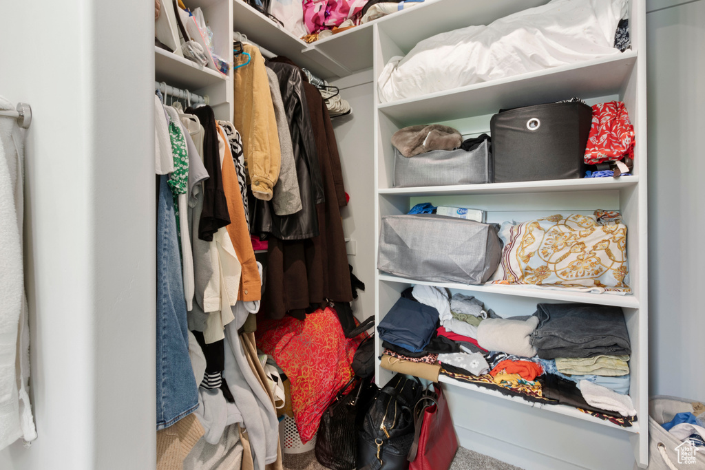 Walk in closet featuring carpet flooring