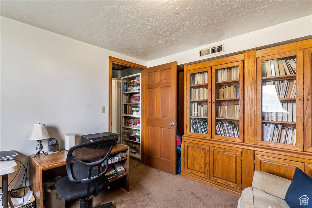 Living area with carpet floors, a desk, and a textured ceiling