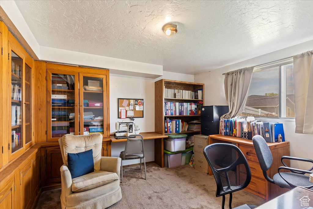 Carpeted office with a textured ceiling