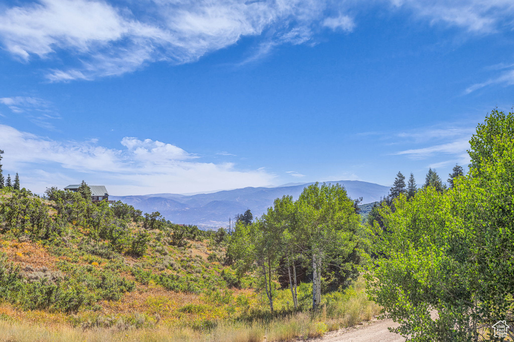 2412 S BULL MOOSE DR Coalville, UT 84017