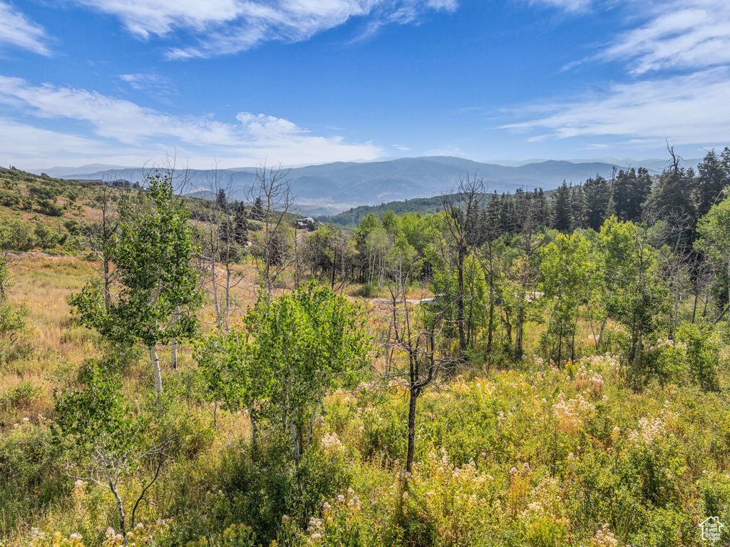 2412 S BULL MOOSE DR Coalville, UT 84017