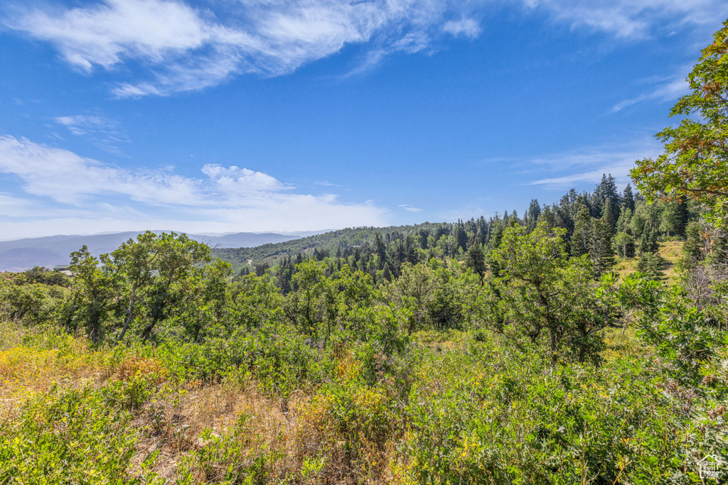 2412 S BULL MOOSE DR Coalville, UT 84017