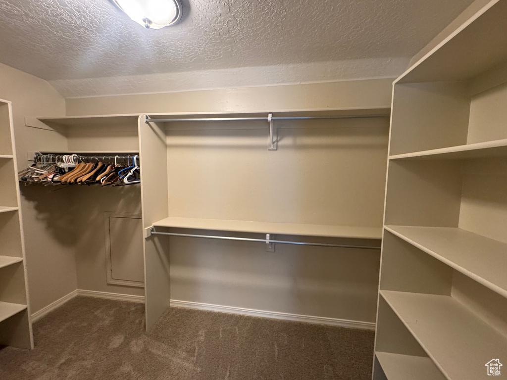 Spacious closet with dark carpet