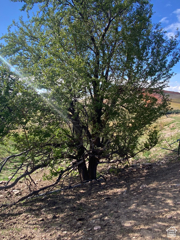 View of nature