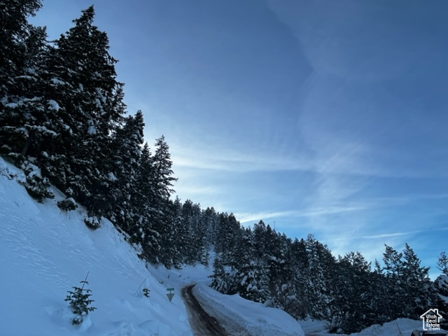 View of road