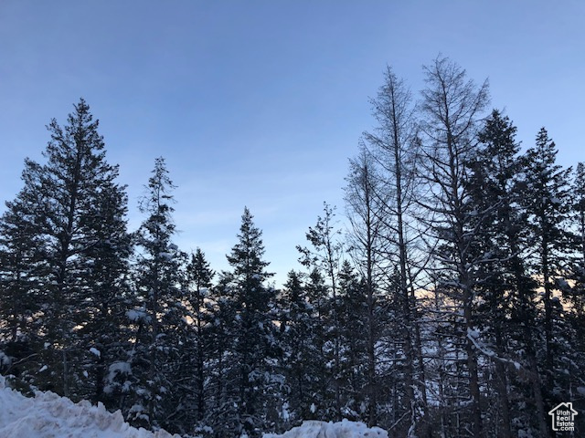 View of mountain background