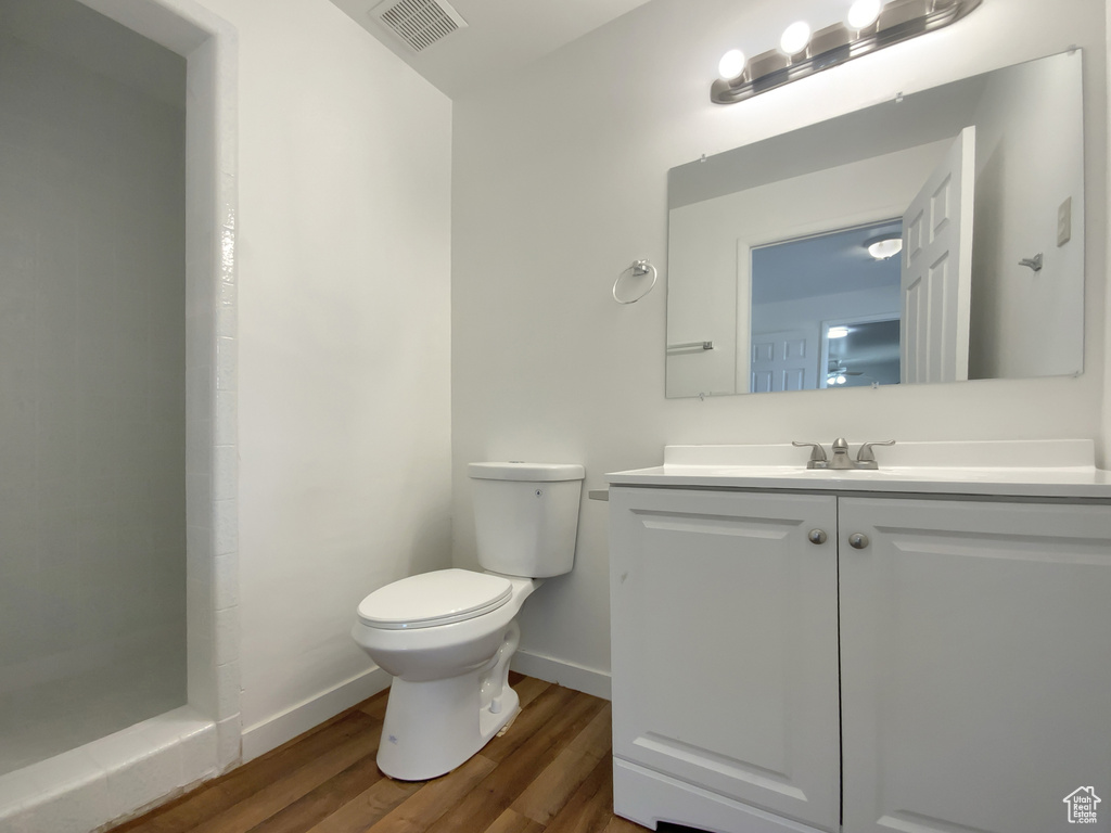 Bathroom featuring wood finished floors, a stall shower, and vanity