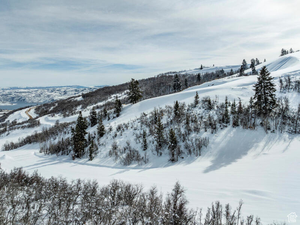 10095 N HIMMEL CT Park City, UT 84060